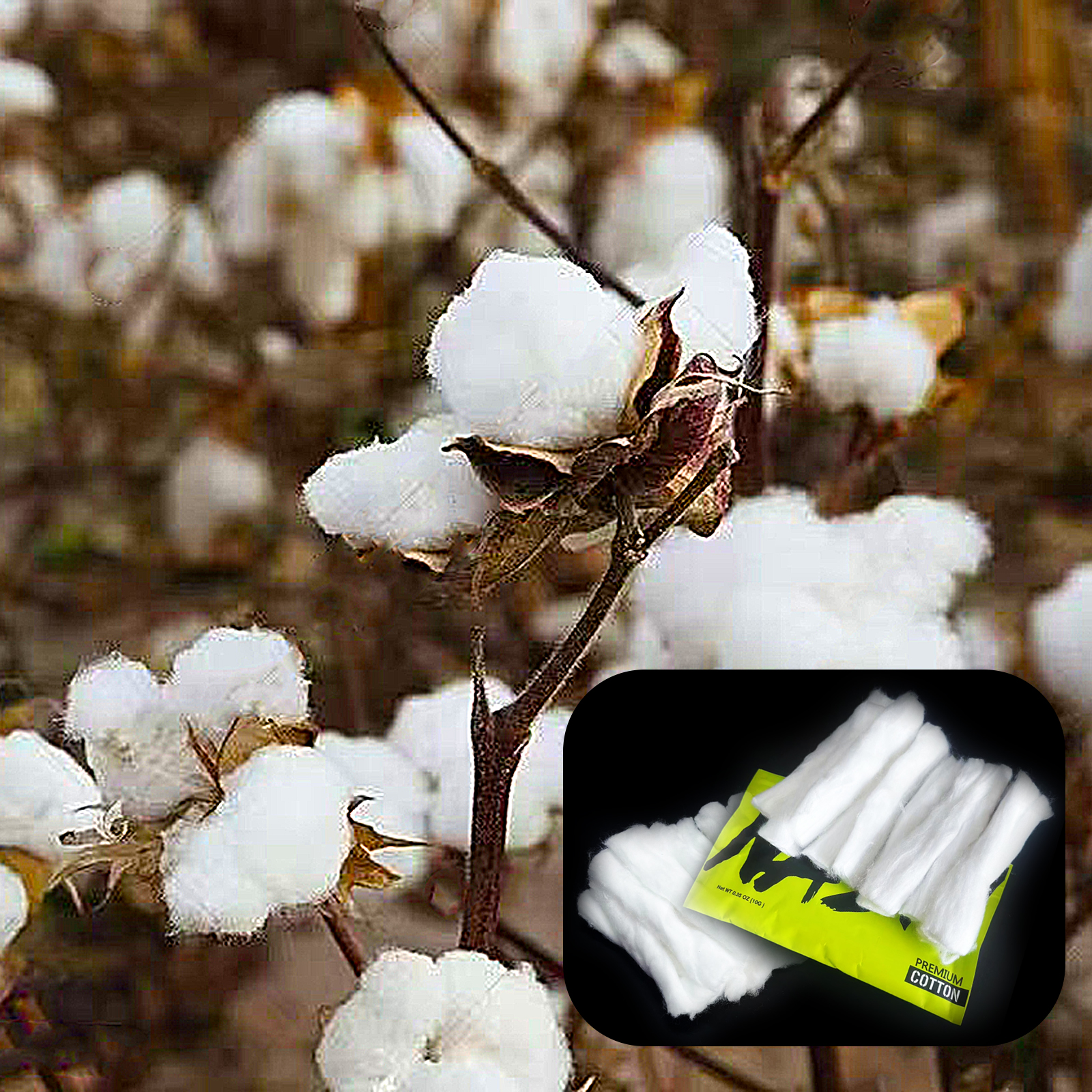 10/5/3Packs Home DIY Natural C - Cotton Wick Organic recensione e prezzo