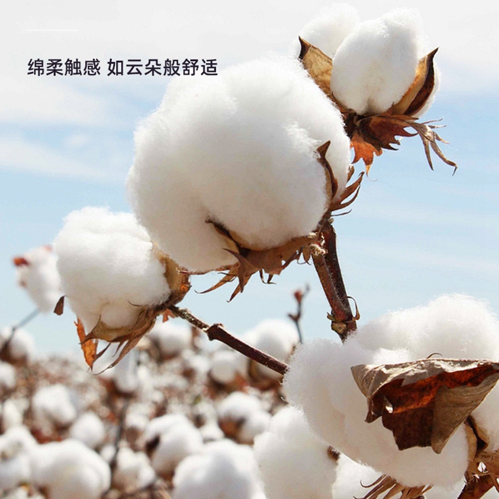 5.0/3.0/2.5mm Rubber Head Orga - Cotton Wick Organic recensione e prezzo